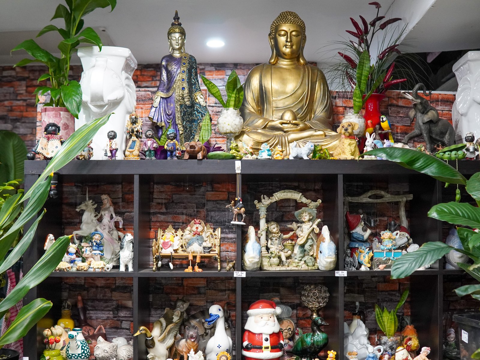 DSC00950 DSC00950