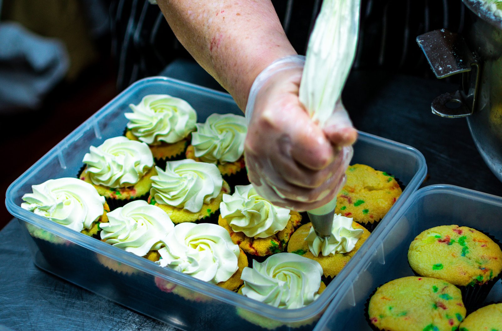 MammaMahoneys CupCake MammaMahoneys CupCake