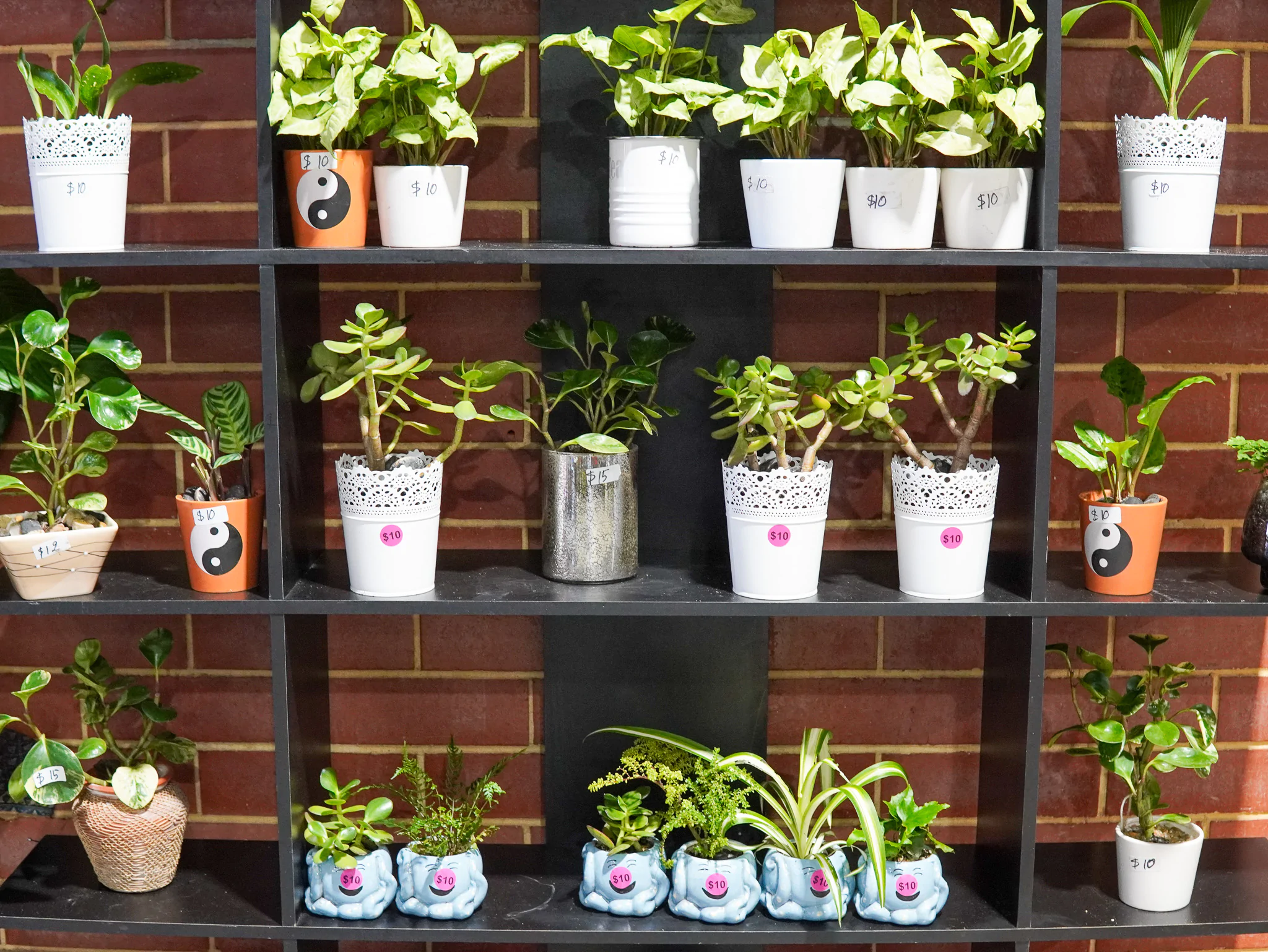 DSC03267